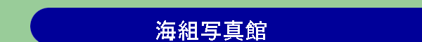 �C�g�ʐ^��