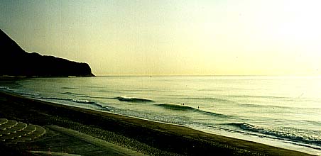 habusi_wave.jpg (17043 �o�C�g)