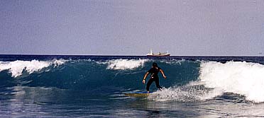 t2_surf_s.jpg (12874 �o�C�g)
