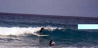 yuki_surf.jpg (10246 �o�C�g)
